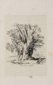 Strutt (Jacob George) - Sylva Britannica; or Portraits of Forest Trees,  first 8vo edition,   etched
