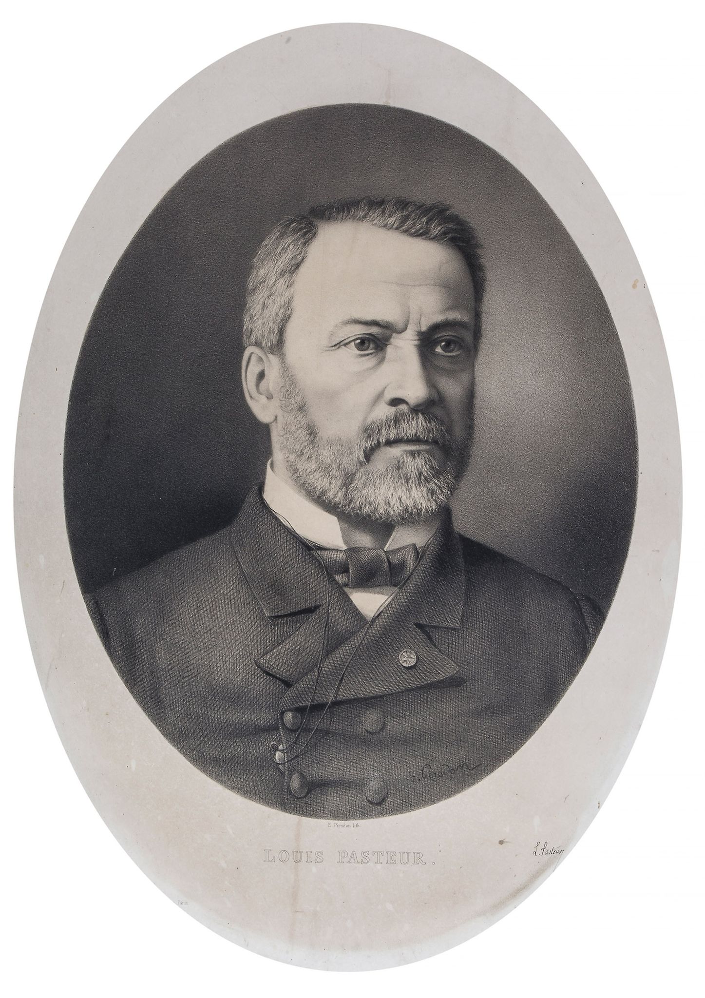 PASTEUR, LOUIS - Oval head and shoulders lithograph portrait by Eugene Louis... Oval head and