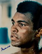MISCELLANEOUS - MUHAMMED ALI, DAVID BAILEY ETC. - Collection of miscellaneous material signed by