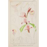 Orchids.- Boyle (Frederick) - About Orchids: A Chat, 1893 § Watson (W.) & W. Bean. Orchids: Their