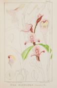 Orchids.- Boyle (Frederick) - About Orchids: A Chat, 1893 § Watson (W.) & W. Bean. Orchids: Their