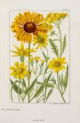 Alpine Flowers & Gardens.- - Clements Rocky Mountain Flowers , 1914 § Flemwell Alpine Flowers...