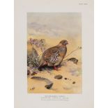 Zoology.- Nicholl (Michael John) - and Col . R. Meinertzhagen Nicoll's Birds of Egypt , 2 vol
