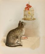 Tucker (Elizabeth S.) - Cats and Kittens, 6 chromolithographed plates by Frederick J.Boston,