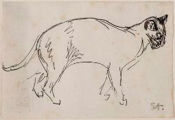Steinlen (Théophile Alexandre, 1859-1923) - Study of a cat walking to the right pen and black ink,
