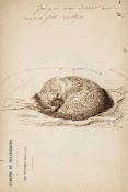 Viger (Madame, fl.1870s) - A sketchbook of studies of the cat Grisgris 22 pages, pen and brown