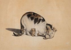Mind (Gottfried, 1768-1814) - Cat with three kittens watercolour, on wove paper, 240 x 340 mm., even