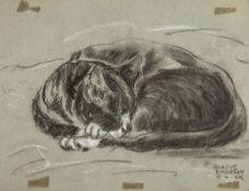 Cook (Gladys Emerson, 1899-1976) - Sleeping cat charcoal and white chalks, touches of green, on
