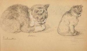 Stocks (Minna, 1846-1928) - A sketchbook of animals and landscapes 48 pages of cream wove paper,