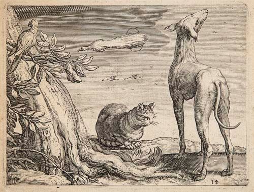 Griffier the Elder (Jan, 1645-1718) - Cat, monkey, and squirrell, with vase of flowers and landscape - Image 3 of 4