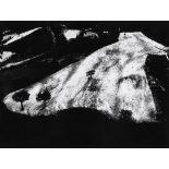 Mario Giacomelli (1925-2000) - Paesaggio Angelini, from the series 'Presa di Coscienza sulla