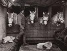 Herbert Ponting (1870-1935) - Oates with Ponies, 1910 Gelatin silver contact print, titled in pencil