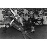 Garry Winogrand (1928-1984) - Rodeo Bucking Broncos, 1974 Gelatin silver print, signed in pencil