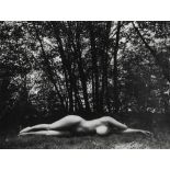 Walter Chappell (1920-2000) - Tree Shade, 1986 Gelatin silver print, titled and dated in pencil with