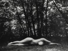 Walter Chappell (1920-2000) - Tree Shade, 1986 Gelatin silver print, titled and dated in pencil with