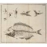 Meidinger (Karl von) - Geschichte der Fische,  4 folding engraved plates, occasional spotting,