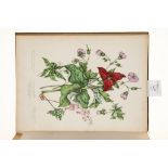 Traill (C.P.) - Canadian Wild-Flowers,  title with chromolithograph floral border, 10 hand-