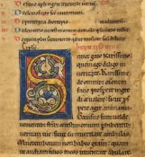 Animal initial with two dogs, - from a monumental illuminated manuscript Bible from a monumental