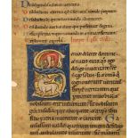 Animal initial with a bear and a griffon, - from a monumental illuminated manuscript Bible from a