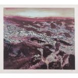 Sidney Nolan (1917-1992) - Burke and Wills Expedition II screenprint in colours, 1975, signed and