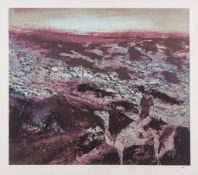 Sidney Nolan (1917-1992) - Burke and Wills Expedition II screenprint in colours, 1975, signed and