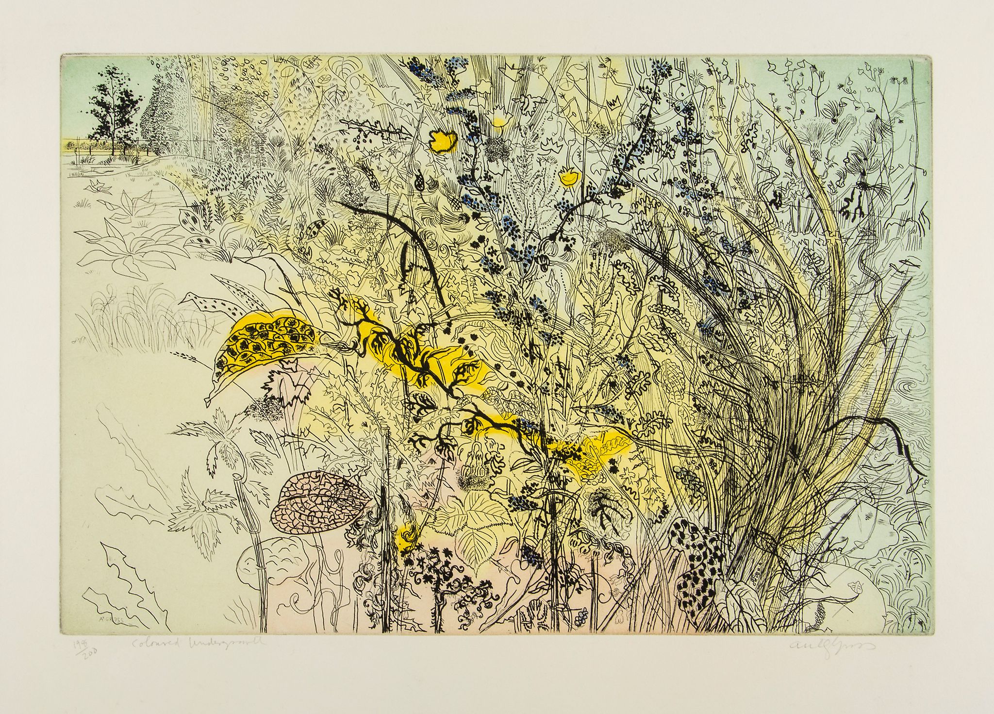 Anthony Gross (1905-1984) - Coloured Undergrowth etching with extensive hand-colouring, signed and