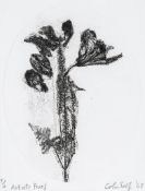 Colin Self (b.1941) - Flowers etching, 1968, signed, dated and inscribed 5/12 Artists Proof in
