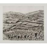 Francis Kelly (b.1929) - Vineyard three etchings, one signed and titled in pencil, inscribed