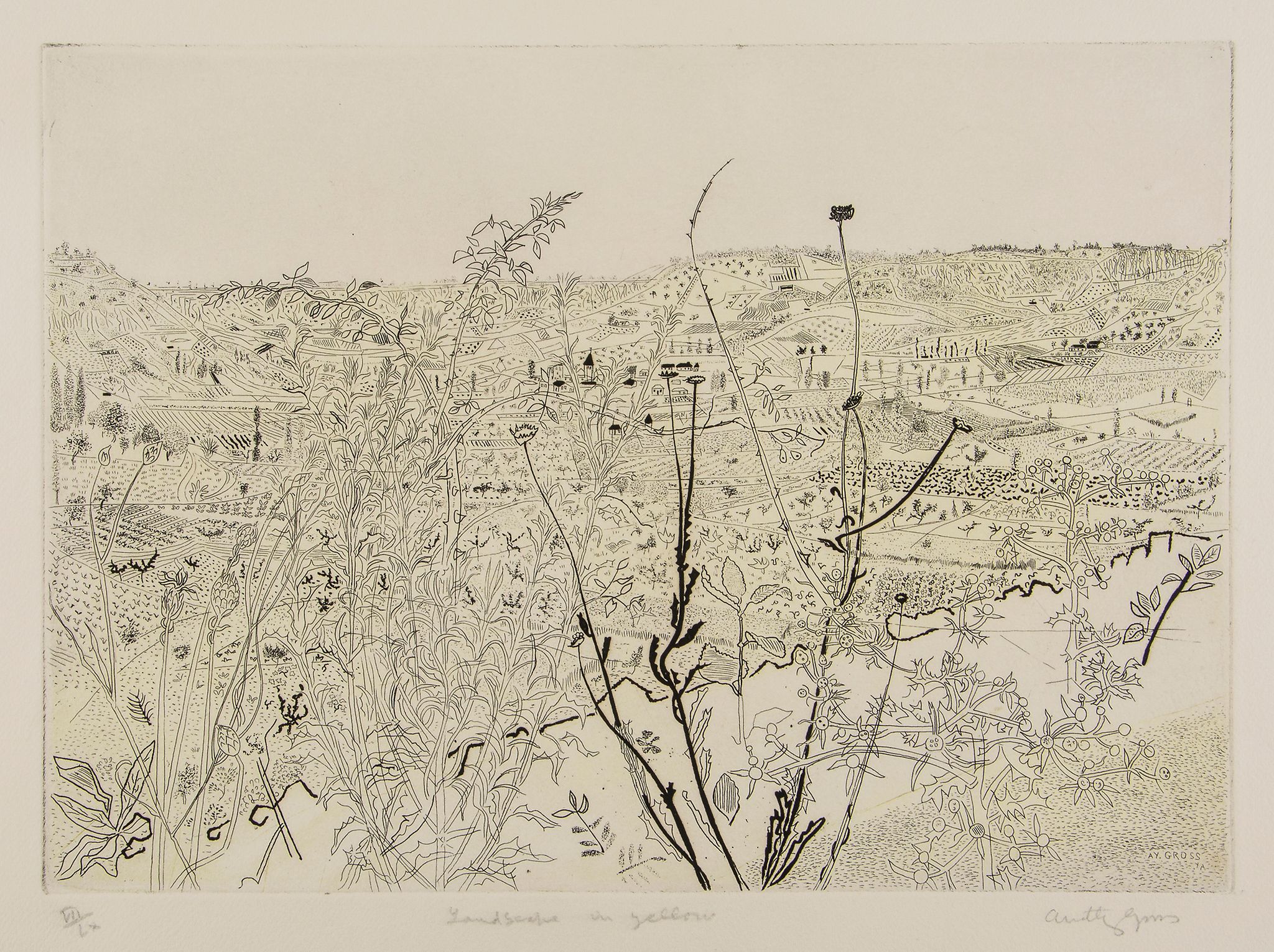 Anthony Gross (1905-1984) - Paysage du Lot etching with yellow wash, 1951, signed and titled in