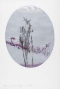 Colin Self (b.1941) - Out Of Focus Object and Flowers No 3 (The 1940s) etching with aquatint printed