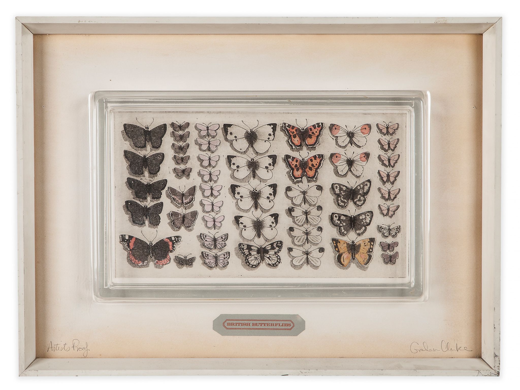 Graham Clarke (b.1941) - British Butterflies etching with hand-colouring, signed in pencil,