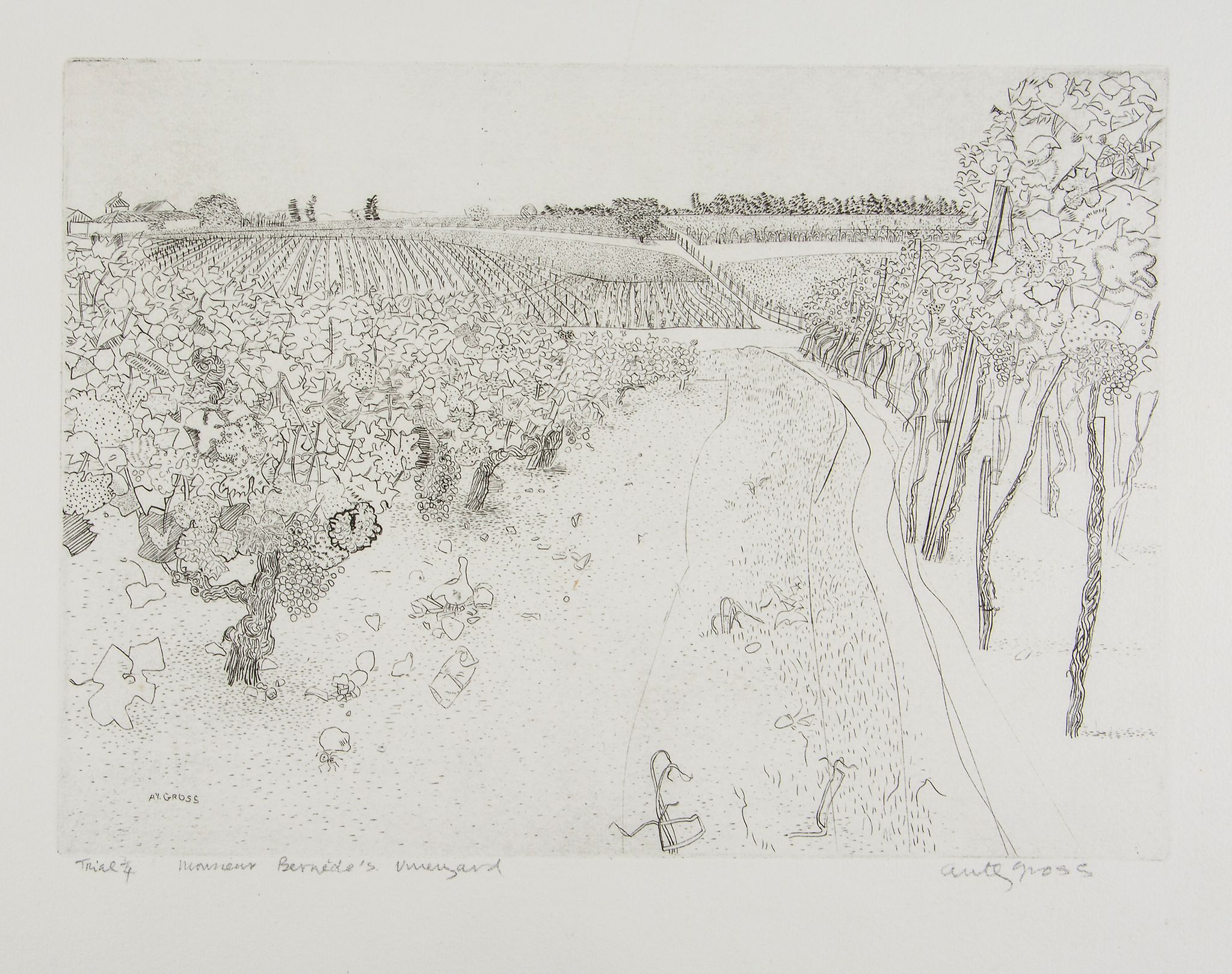 Anthony Gross (1905-1984) - Monsieur Bernede's Vineyard etching,  1974, signed, titled and inscribed