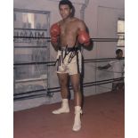 ALI, MUHAMMAD - Glossy full length photograph of Muhammad Ali posing by the ropes... Glossy full
