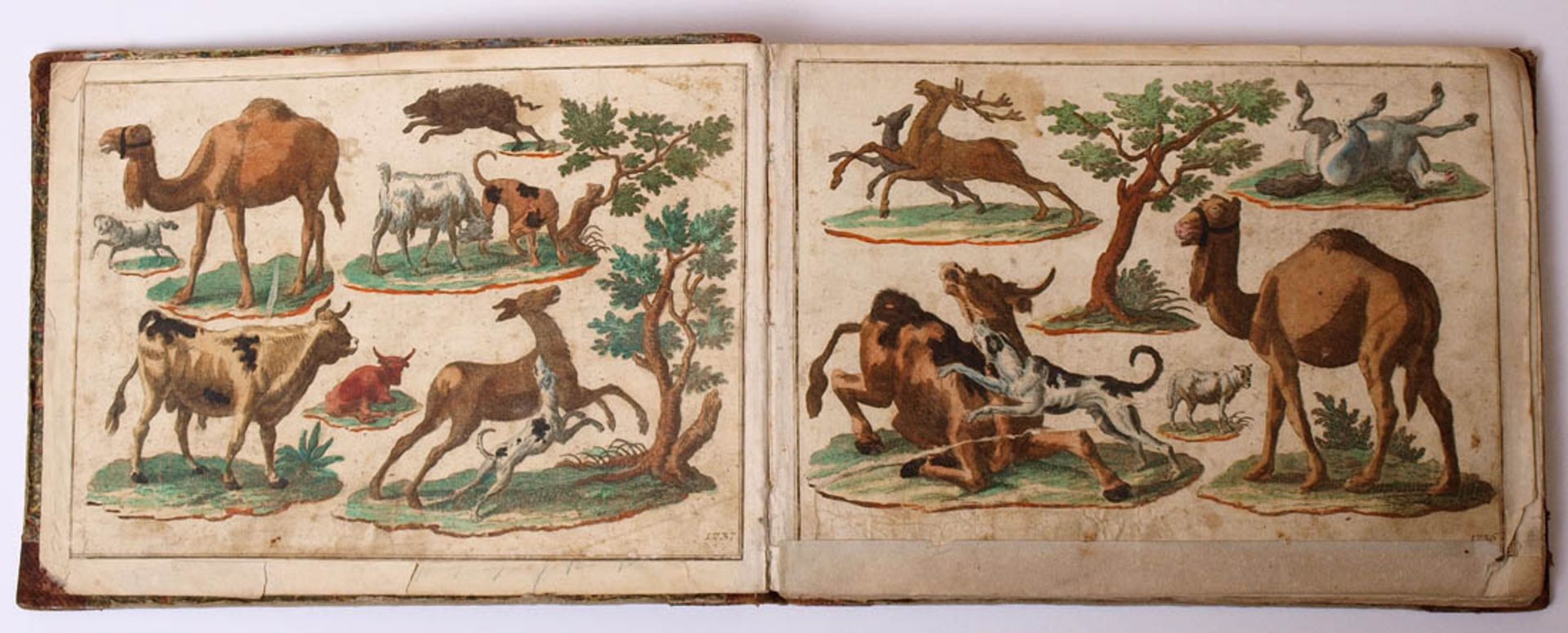 Kinderbuch, 18.Jhdt.Zahlreiche kolorierte Kupferstiche mit Tier- und Pflanzendarstellungen,