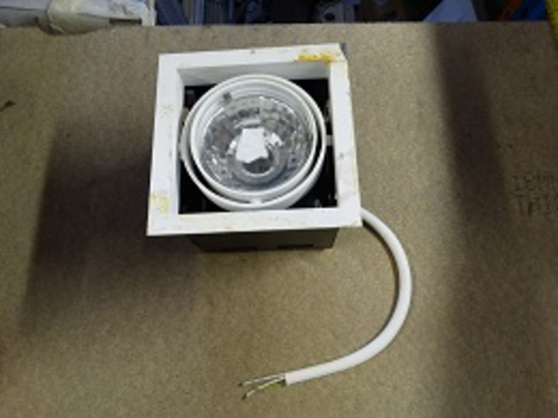 Adjustable downlight with surrounds