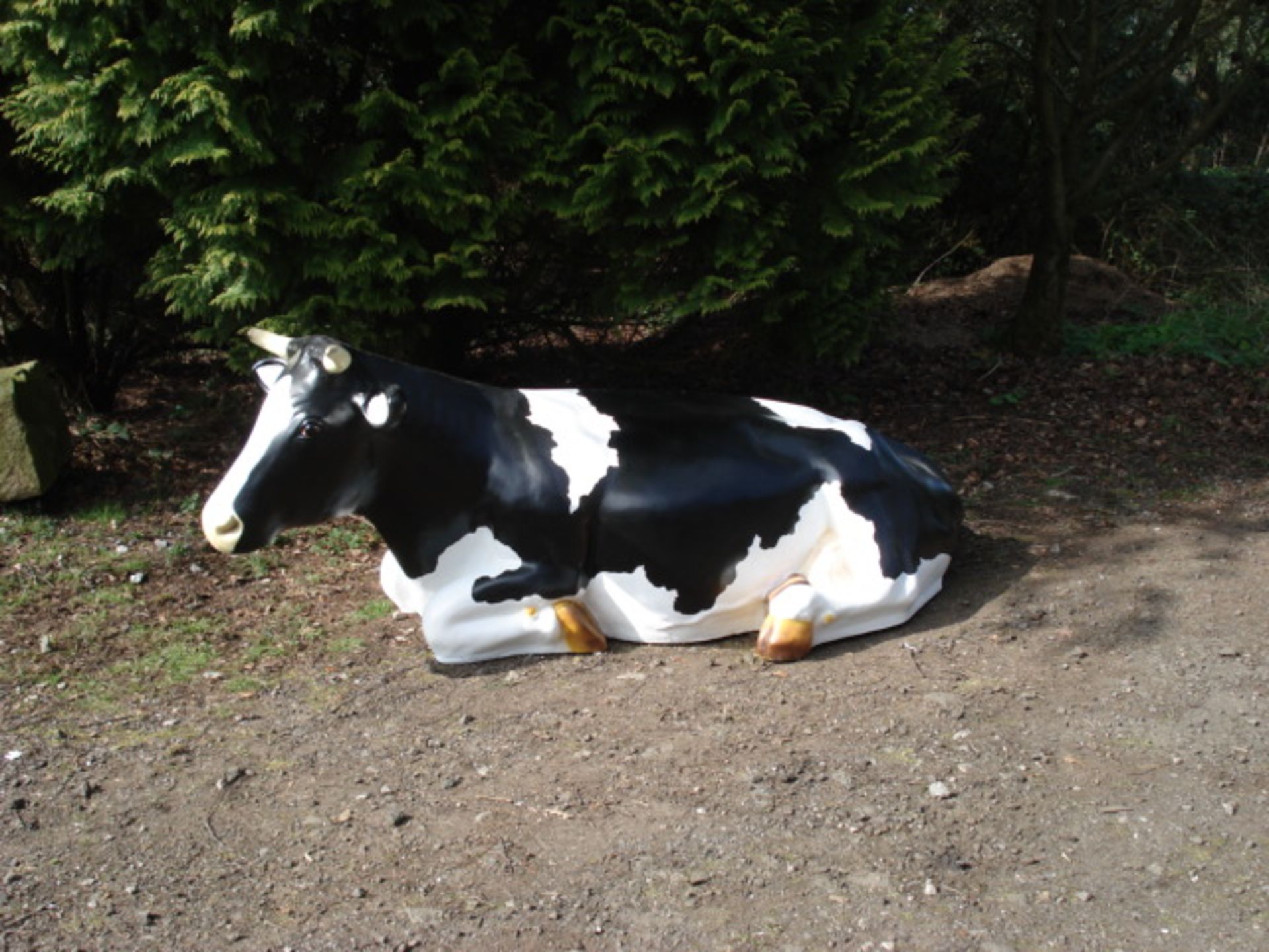 LIFESIZE NEW PACKAGED COW LAYING - Image 2 of 2