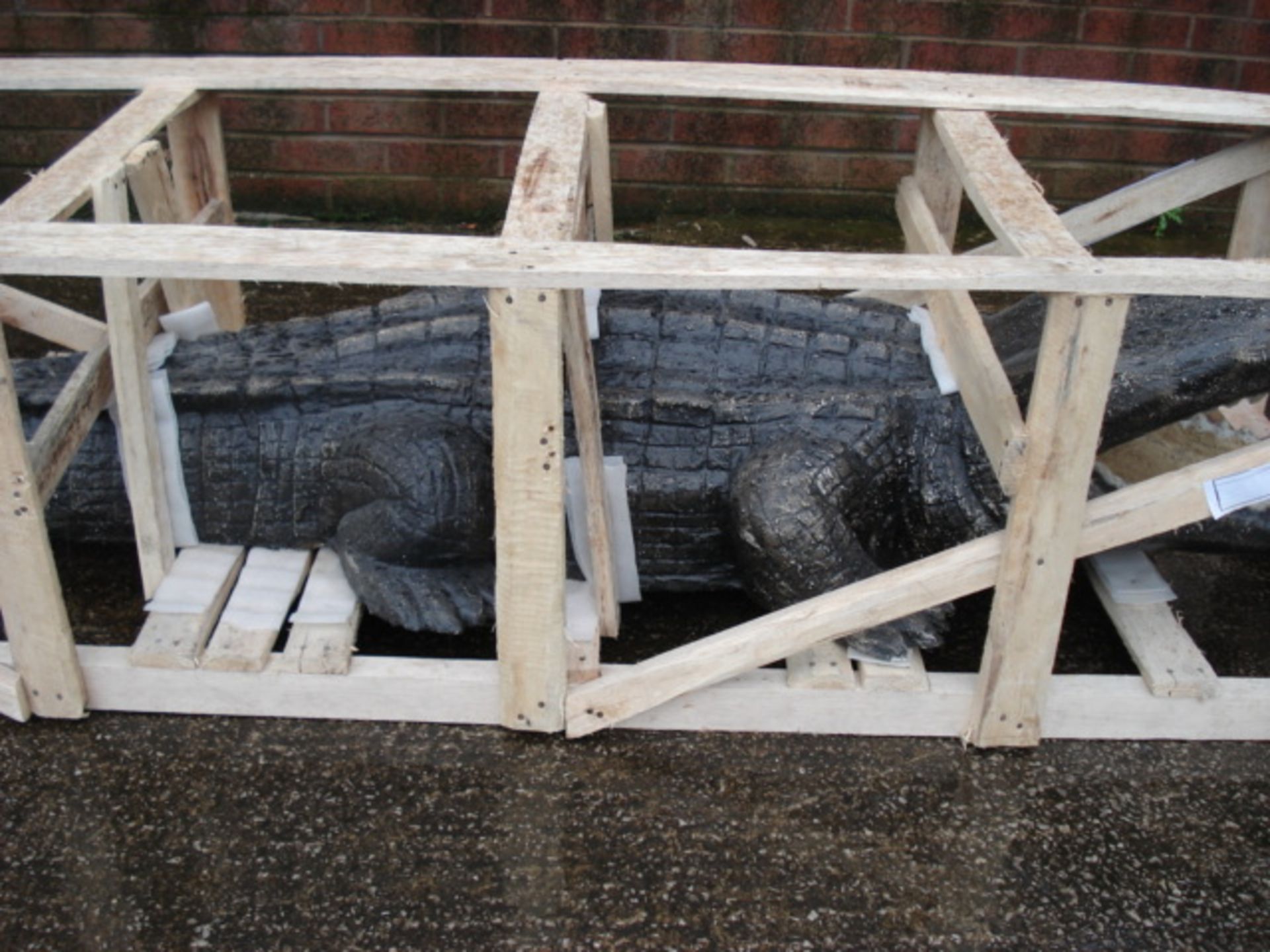 NEW CRATED LIFESIZE MASSIVE CROCODILE - Image 4 of 4