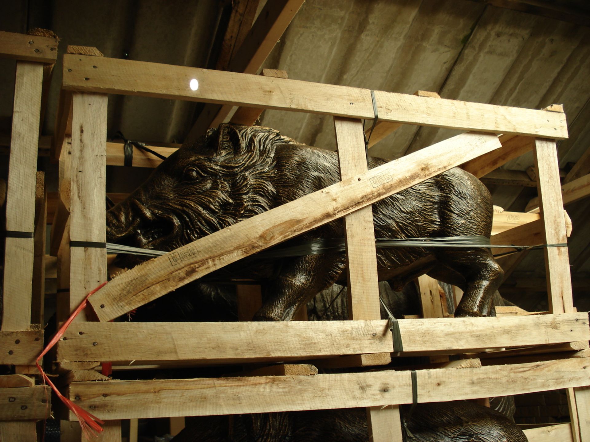 CRATED WILD BOAR FINISHED IN BRONZE