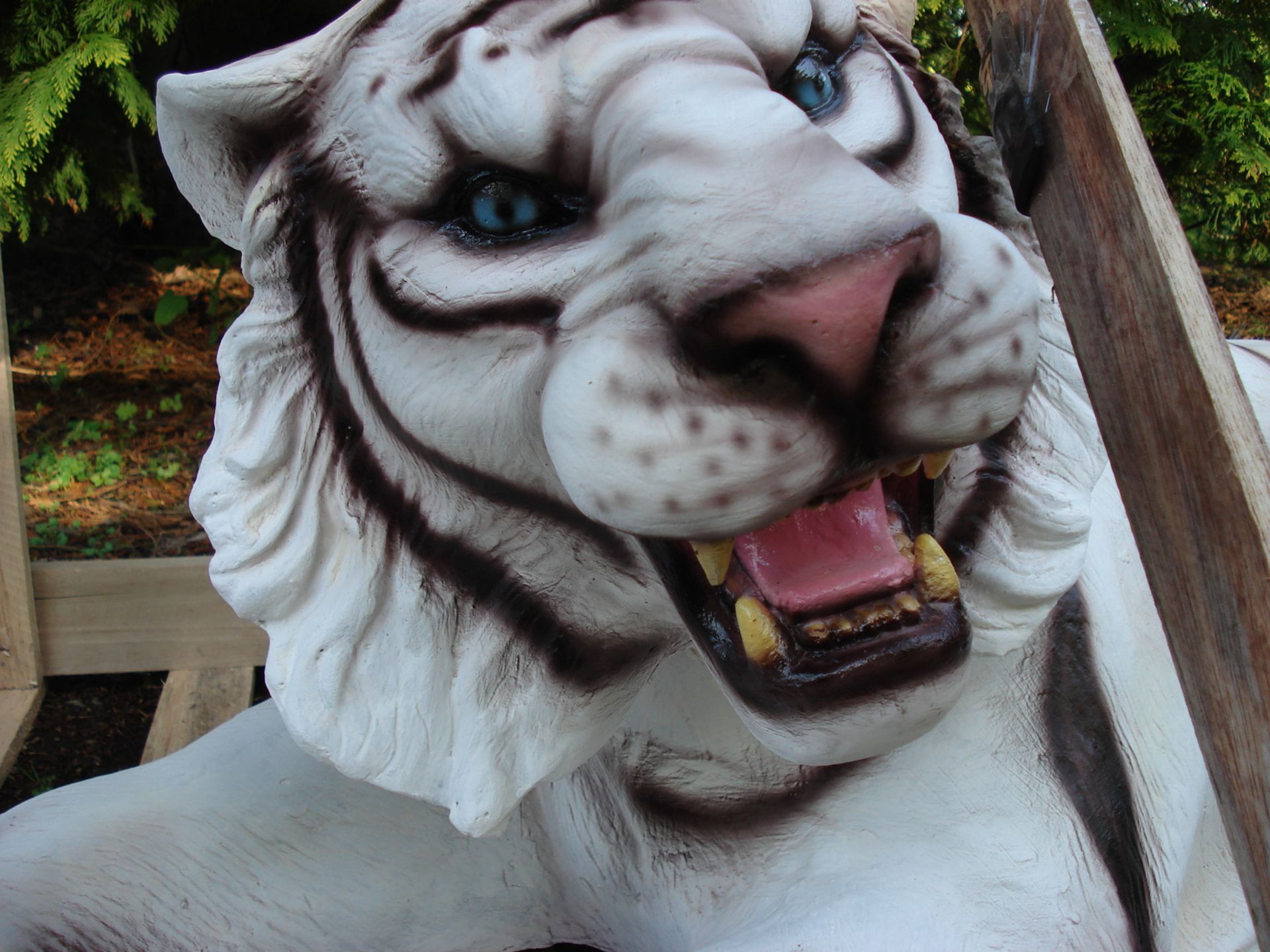 MASSIVE LIFESIZE LAYING SIBERIAN TIGER - Image 2 of 2