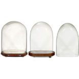 3 Oval Glass Domes
1) With walnut base, size of the dome 12 ½ x 6 ½ x 17 ¾ in., c. 1860. - 2) Size