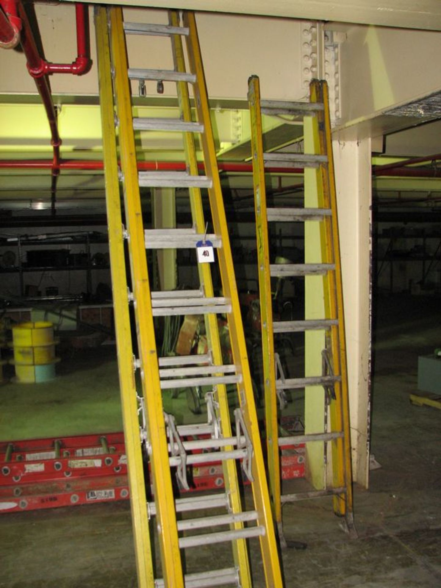 Lot (3) fiberglass extension ladders; (2) 20' and (1) 10'