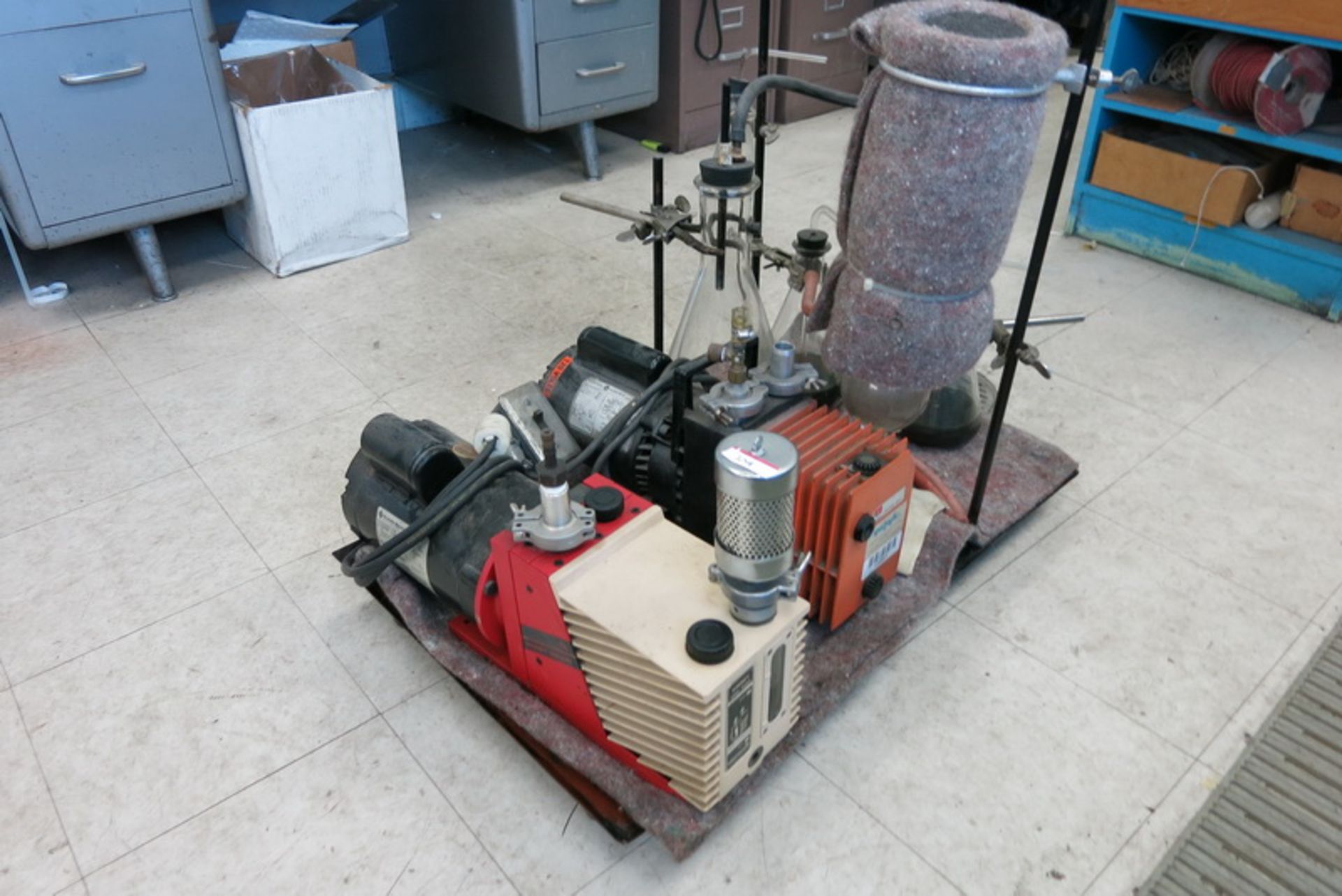 Dual vacuum pump apparatus