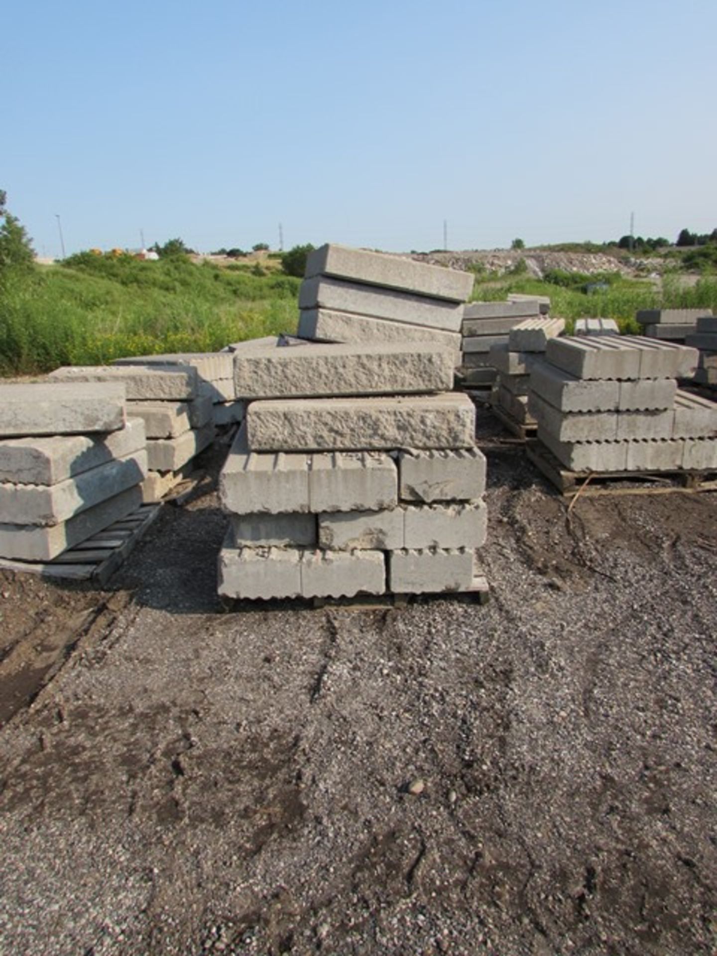 Lot 5-skids retaining wall bricks