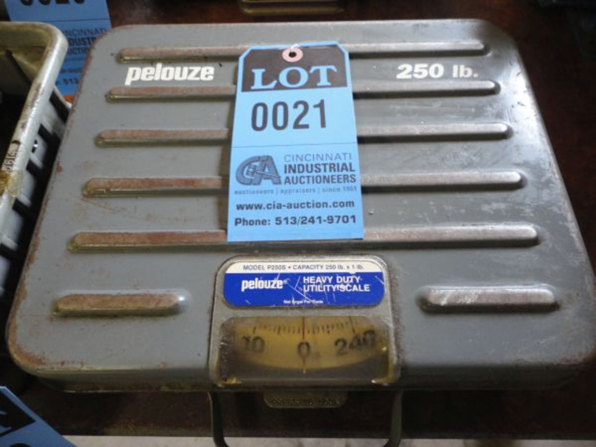 250 LB. CAPACITY PELOUZE UTILITY SCALE