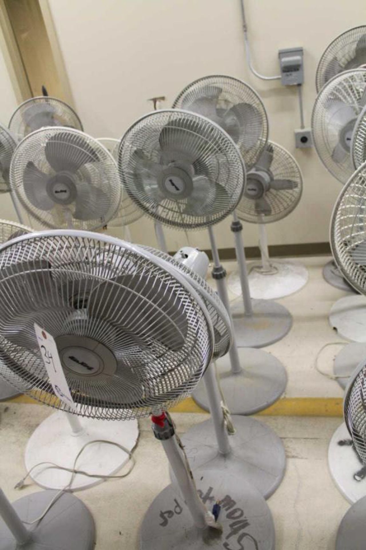 Pedestal Fans