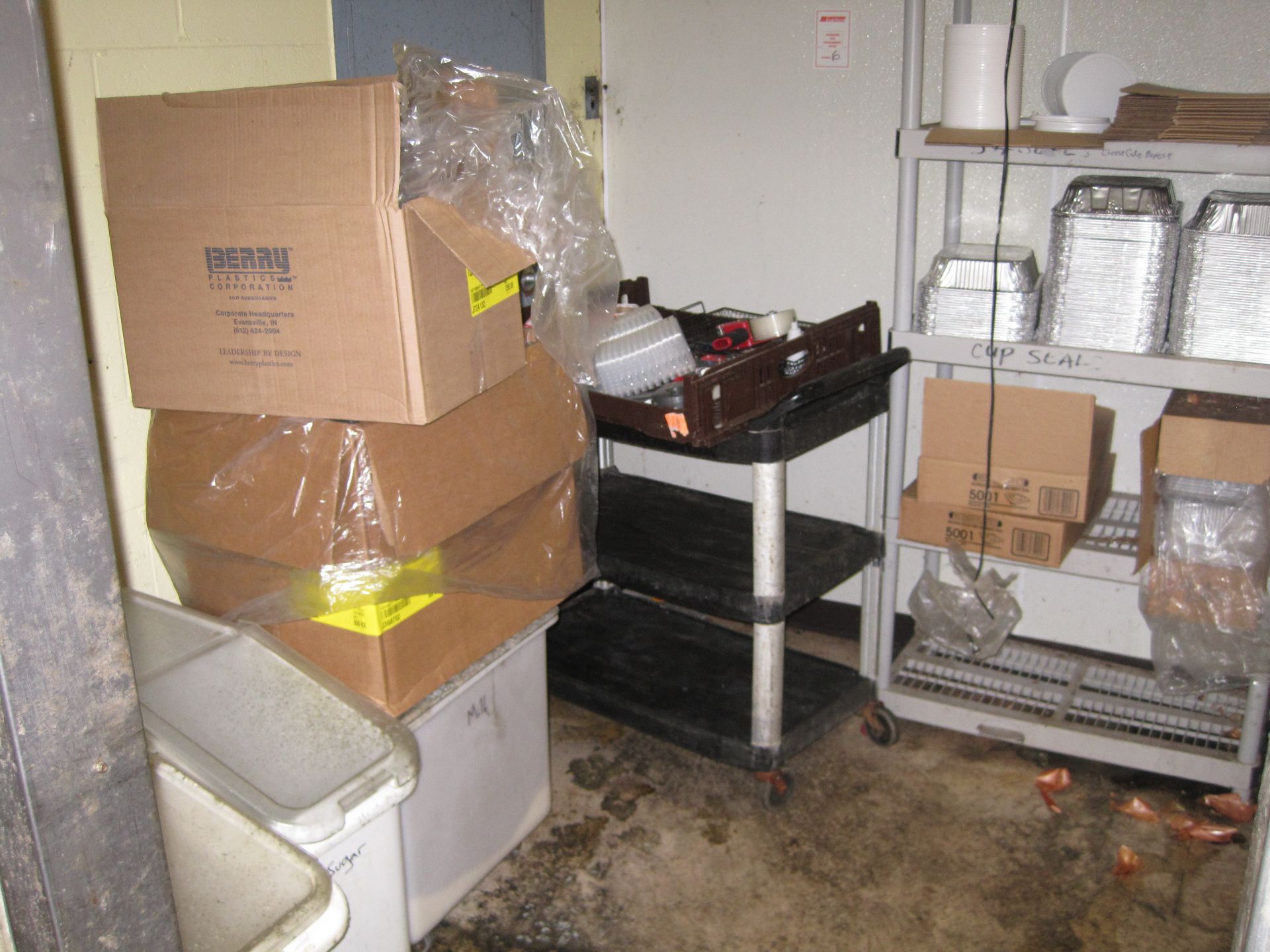 Contents of Room: Cart, Rack, Buckets, (2) Small Stainless Steel Tables, Etc.  (Lot)