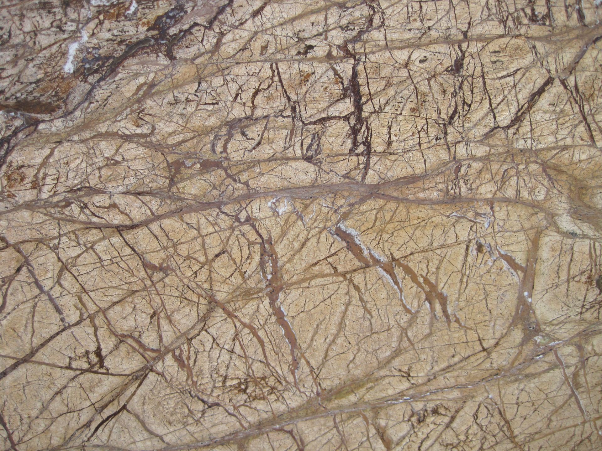 Granite, Brown Rainforest, 113" x 39" - Image 2 of 2