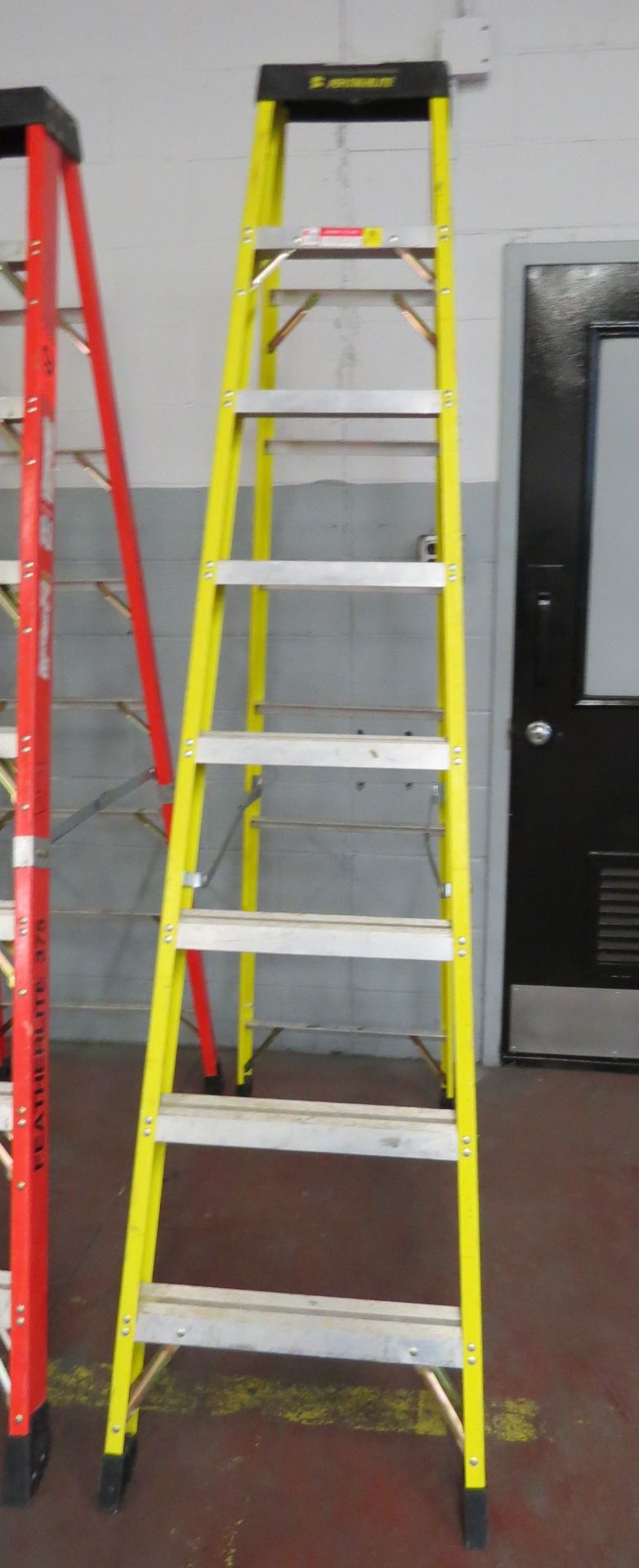 Featherlite 10' ladder