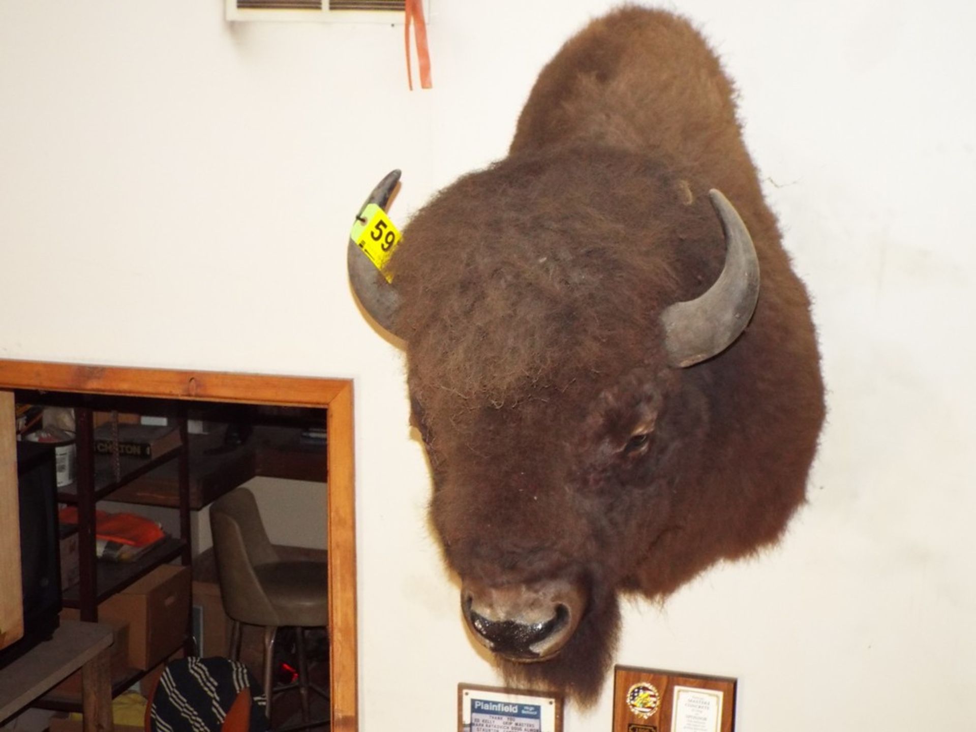 BISON HEAD MOUNT