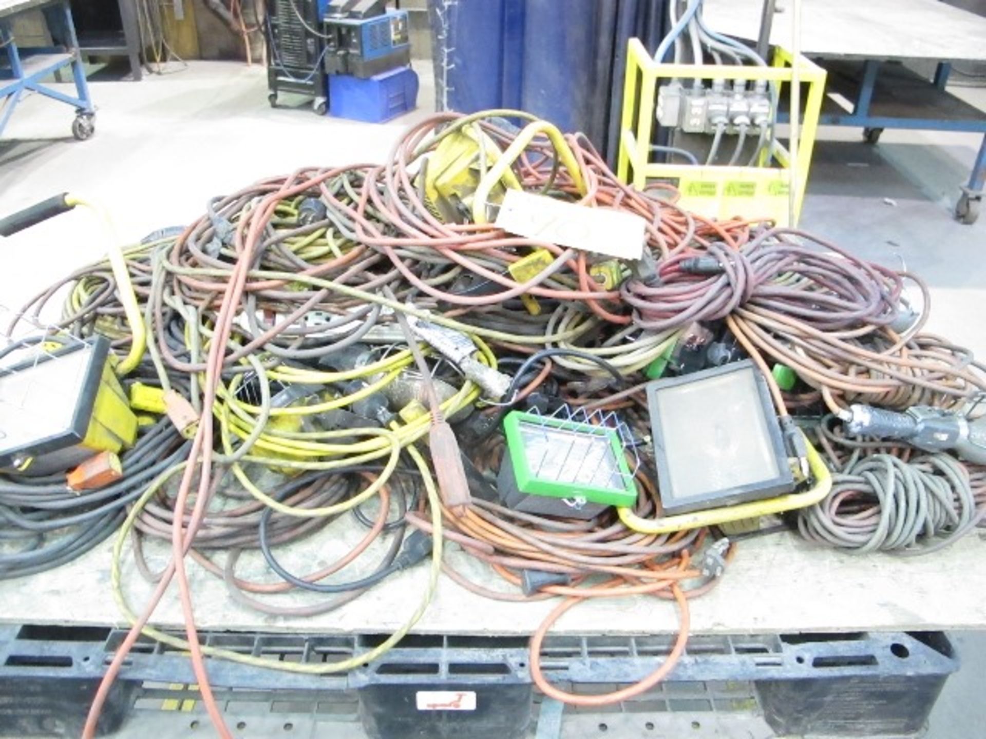 QUANTITY OF EXTENSION CORDS AND LAMPS